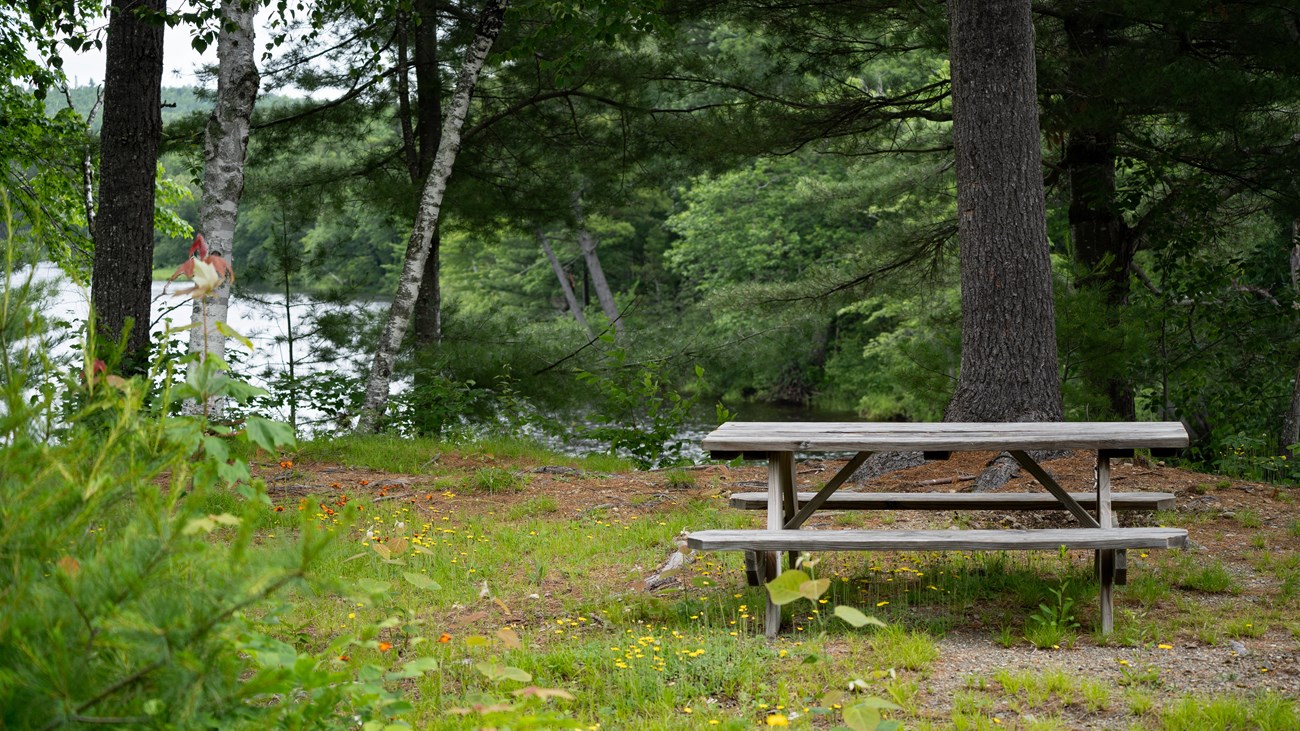 A tightly cropped wooden picnic table. It sits on a grassy area above a river in the background.