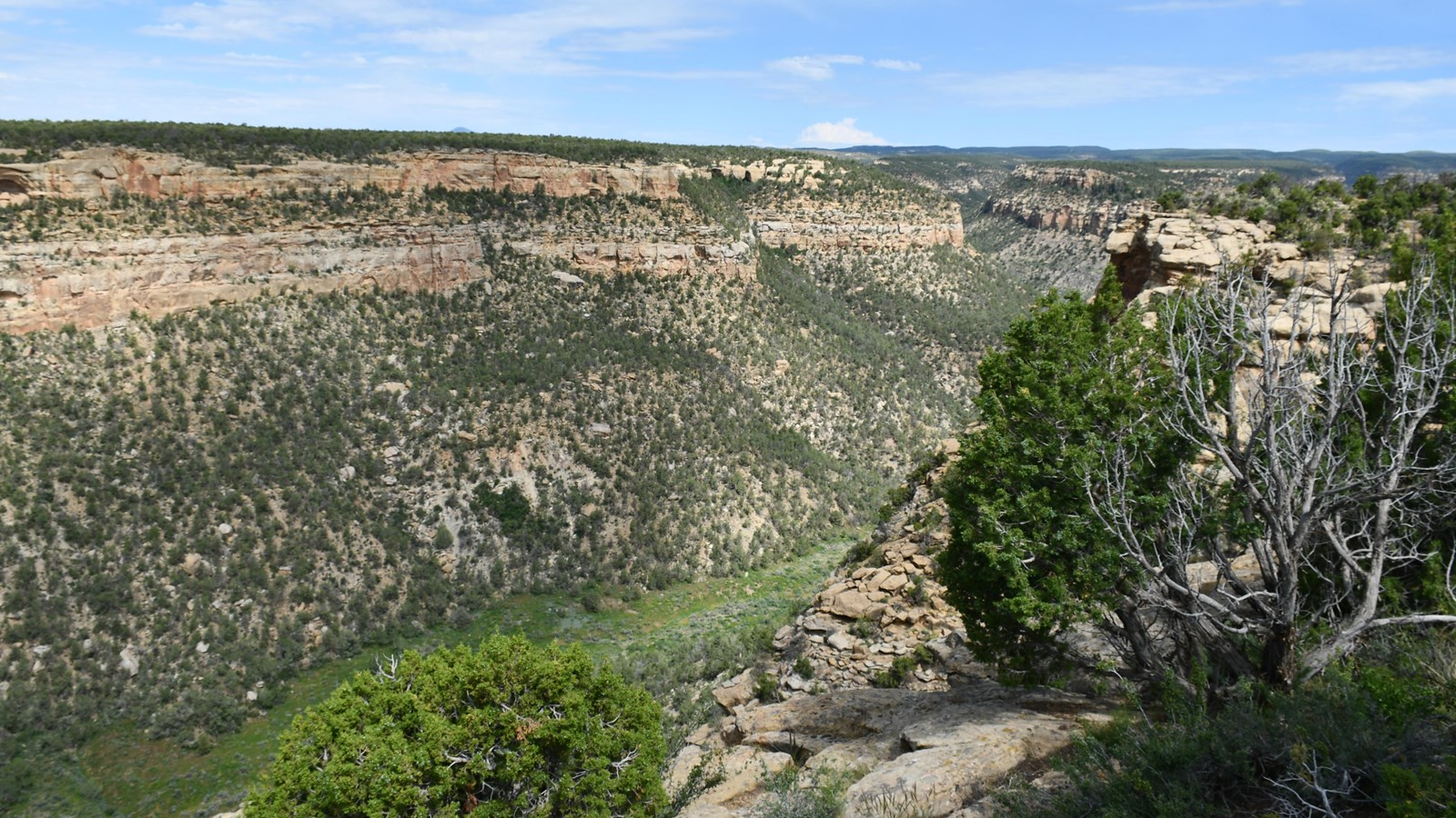 A view overlooking Navajo Canyon. 