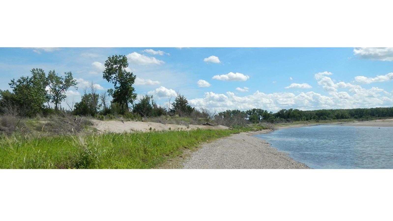 Bank of Green Island visible on the left half with the river coming to the sandy bank from the right