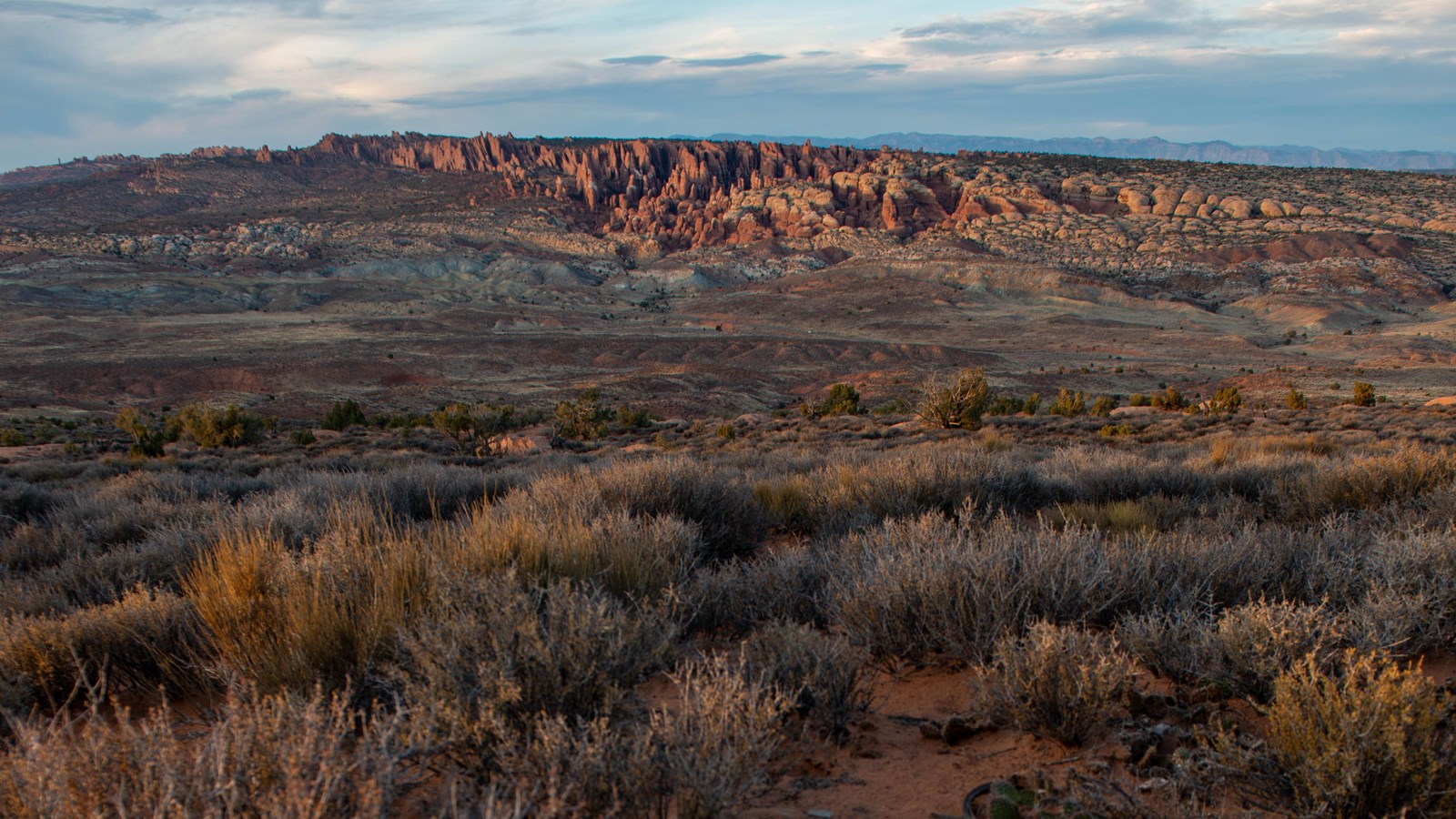 Geologic features are visible in the distance, as well as sagebrush and other shrubs. 