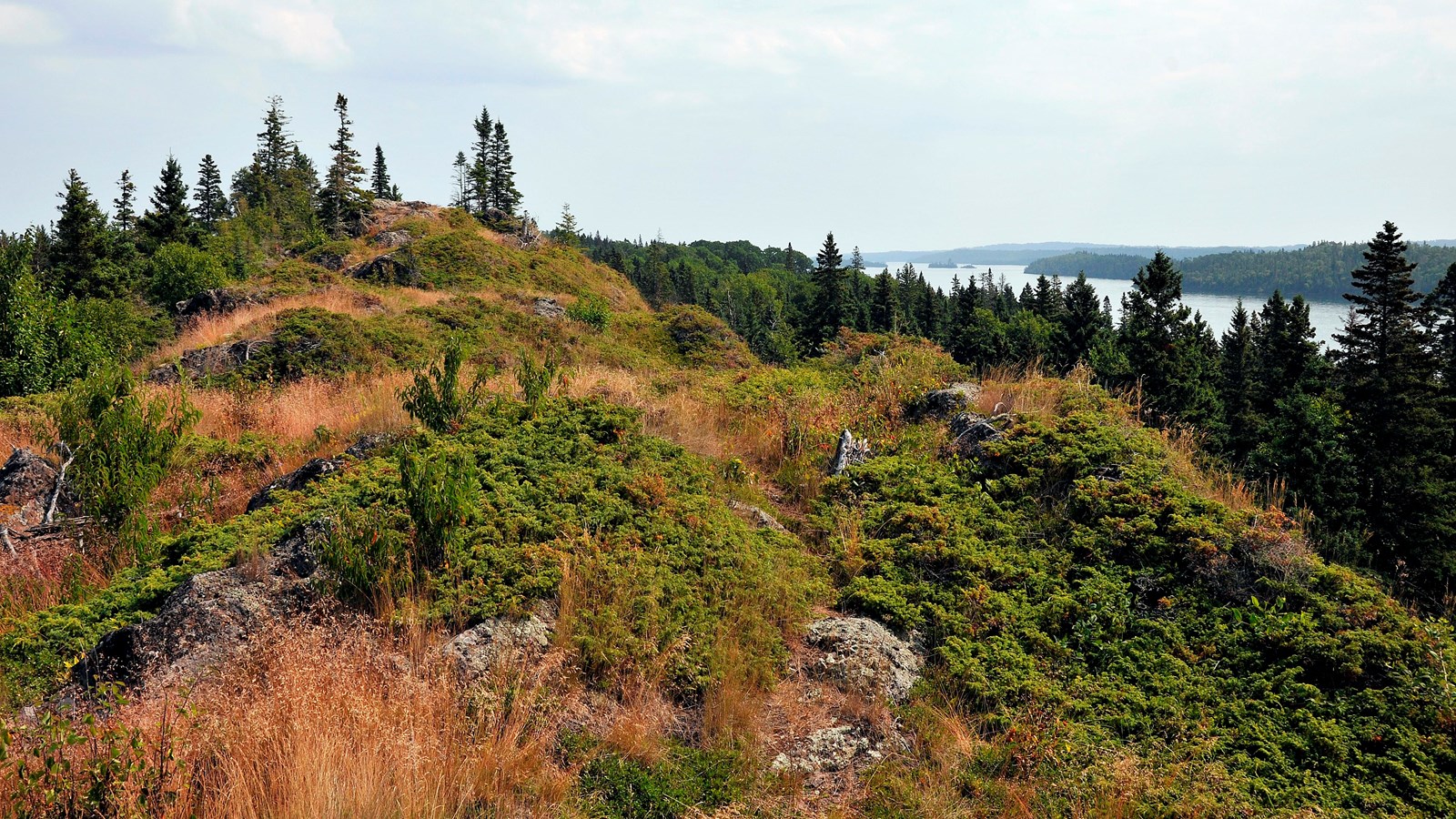 View from rocky ridge with trees and Lake Superior in the background. 