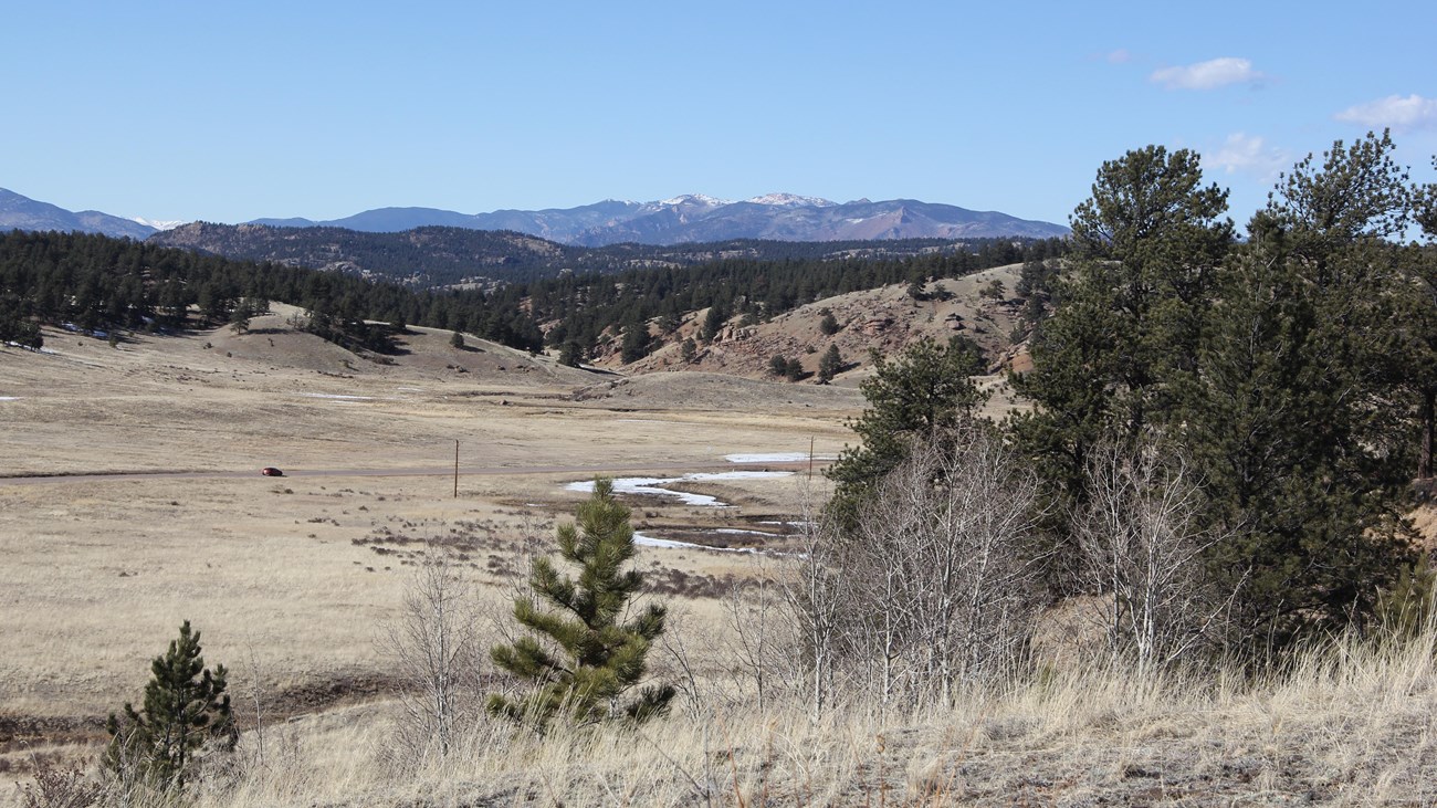 A grassy hillside with some trees overlooks a larger grassy valley with mountains in the background