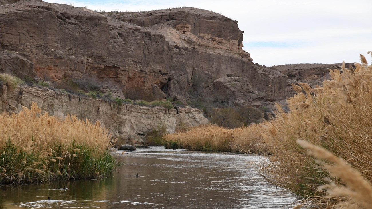 A river with bluffs in the background.