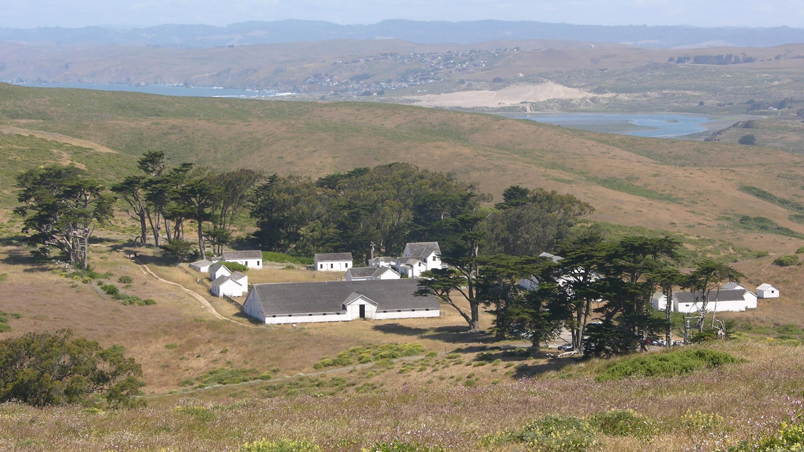 Pierce point ranch overlooks Tomales Bay. The white buildings are clustered in the shelter of pines.