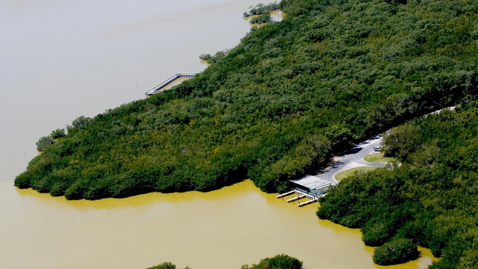 An aerial view of West Lake shows a dense mangrove shoreline and murky muddy brown waters
