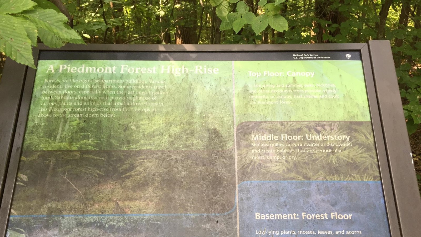 Slanted sign with color images in a green summer forest