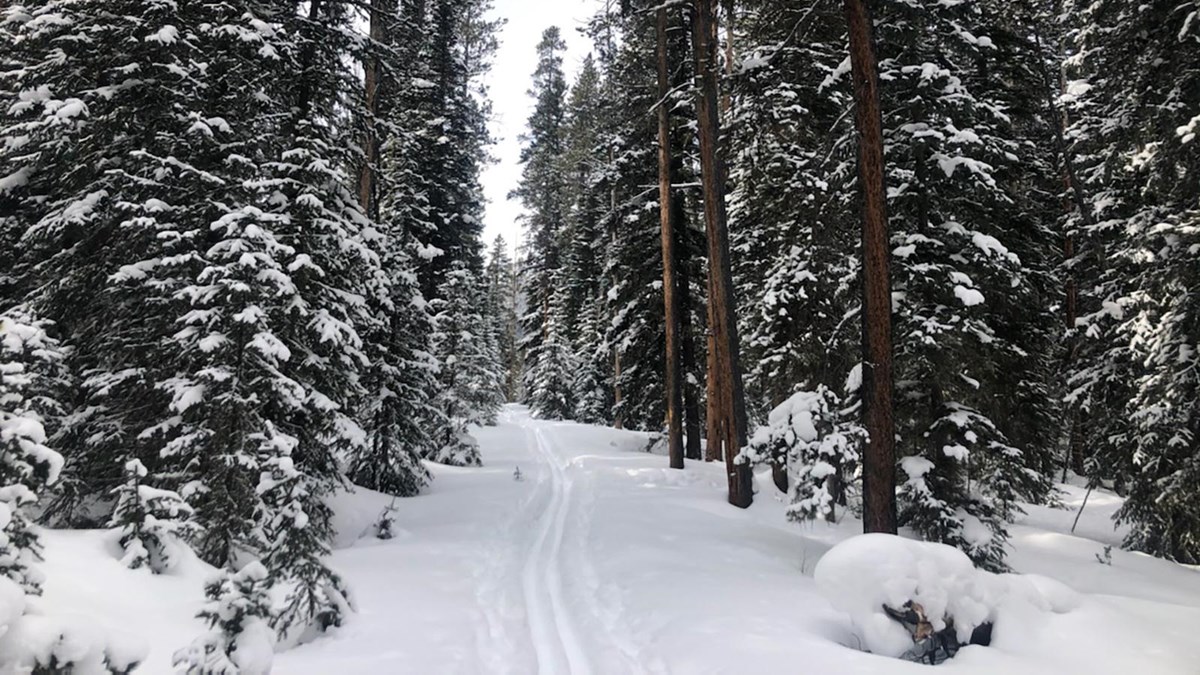 Bannock Ski Trail (U.S. National Park Service)