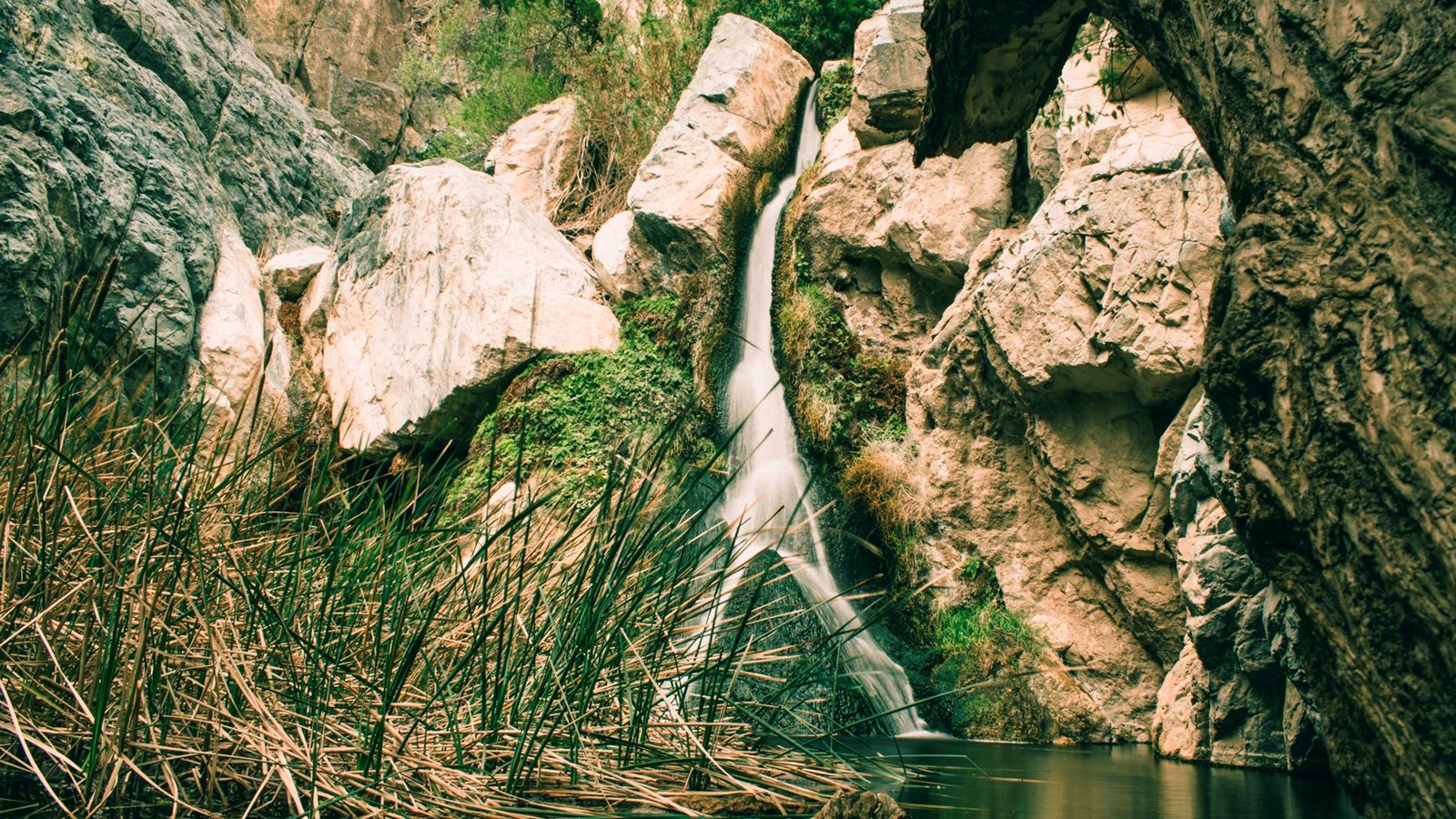 A thin waterfall splitting into a V near the bottom feeds a shallow pool surrounded by green plants.