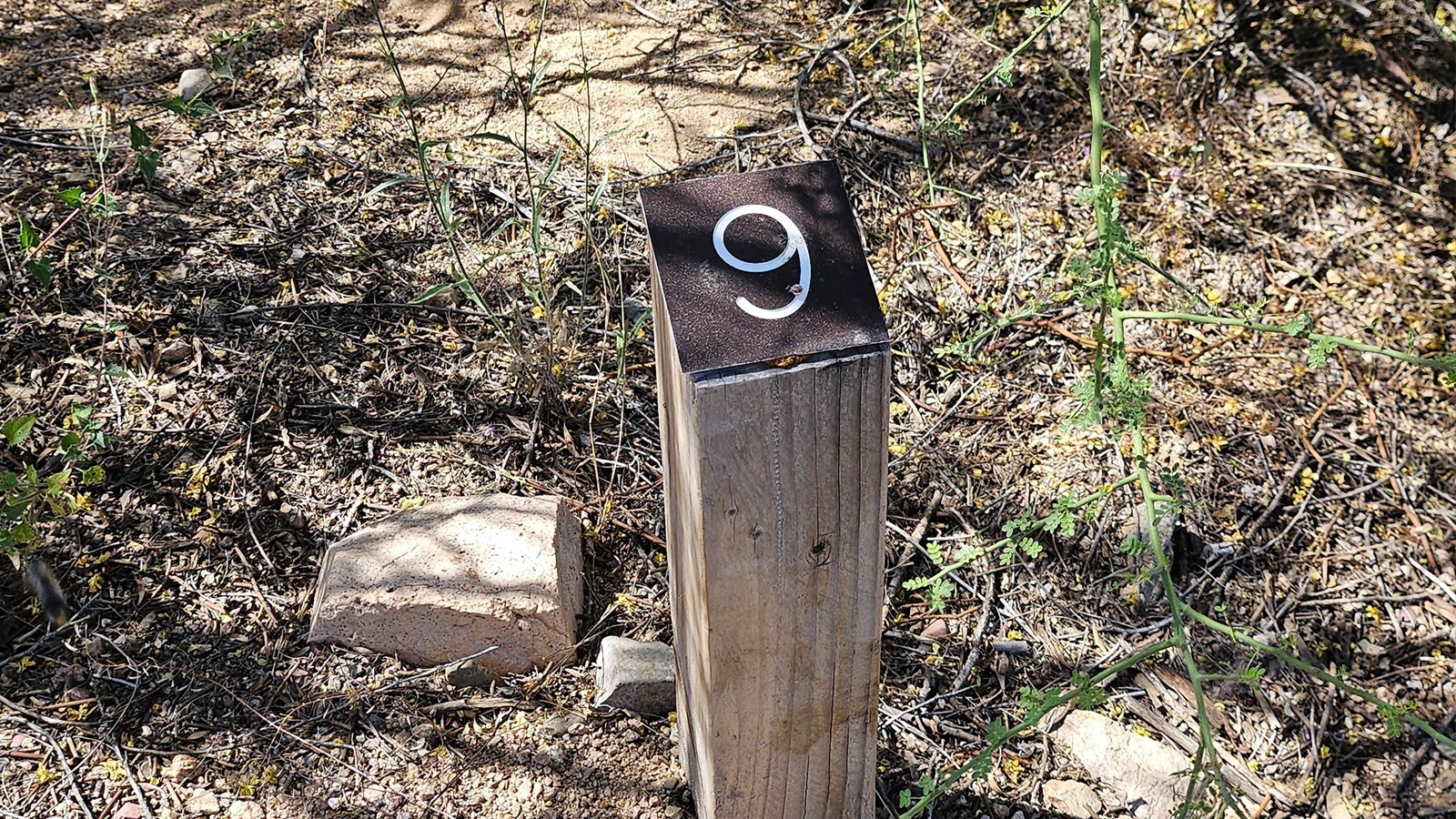 A small wood post with 