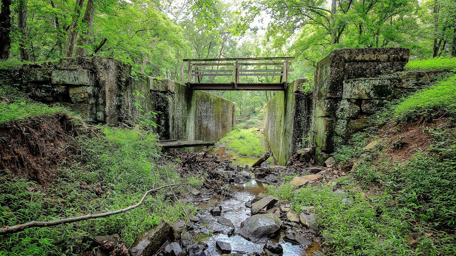 A look through a grass covered lock with rocks and water at the bottom and a bridge across the top.