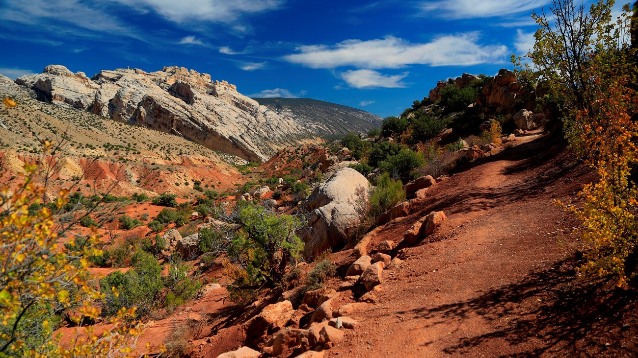 A trail on red colored soil leads through low shrubs with views of a rocky mountain in the distance.
