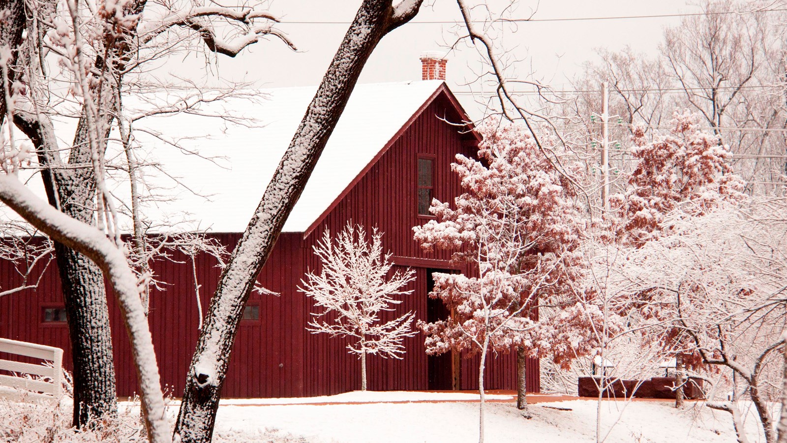 red wooden stable with snow on roof and ground. Trees in foreground have flowering buds.