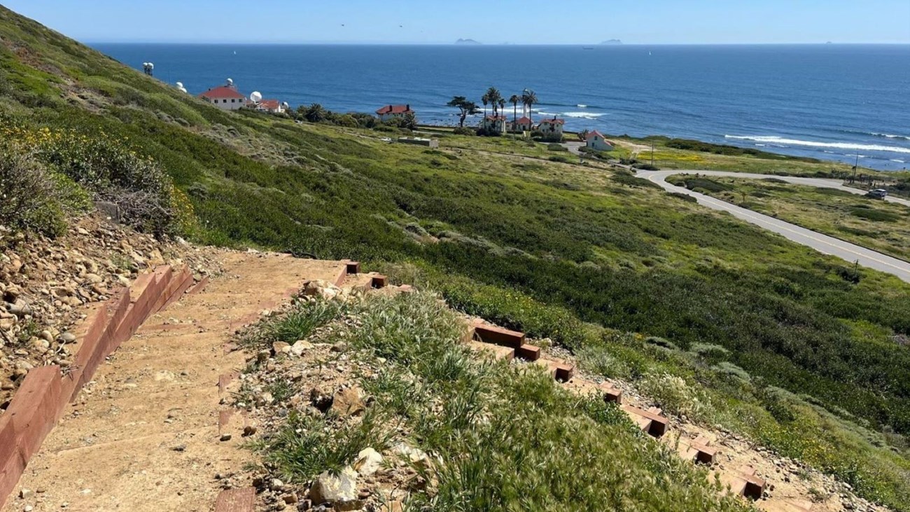 A windy dirt path on a hillside overlooking the ocean.