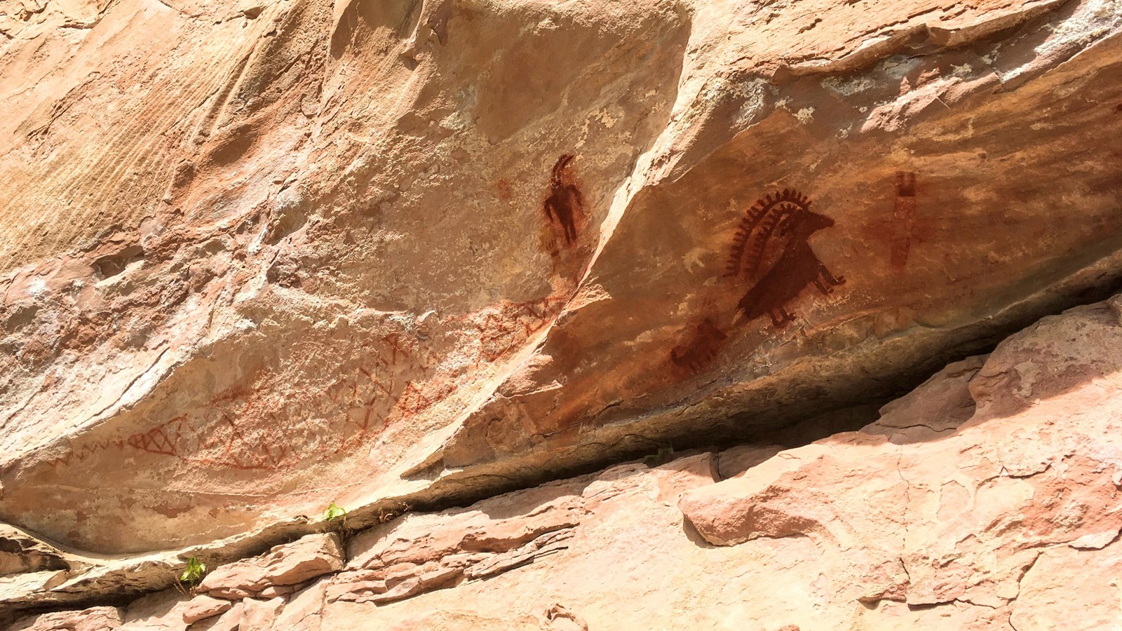 Shaded under overhanging rocks, pictographs show human and animal figures, and abstract designs.