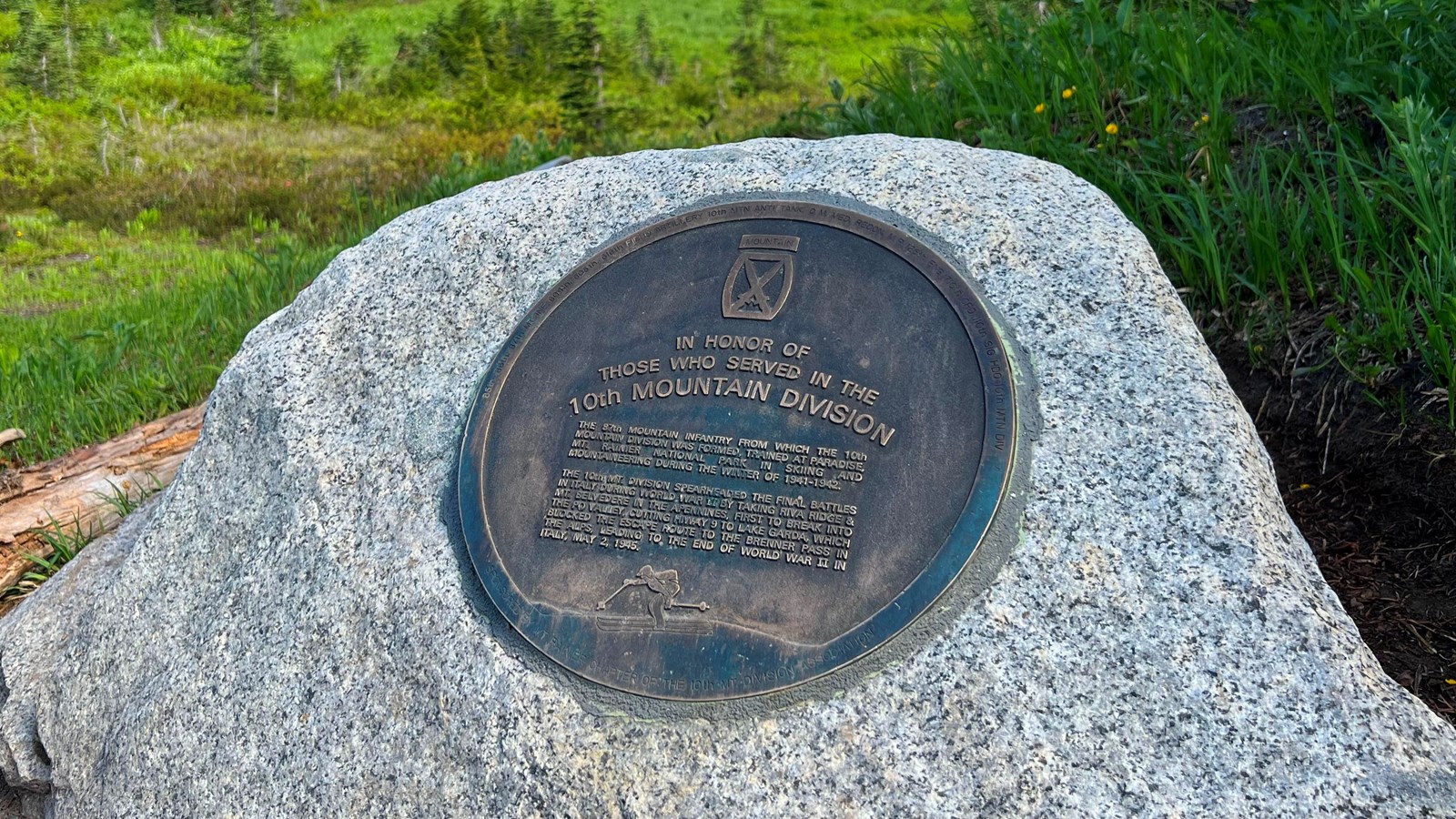 A stone plaque with a mountain in the background