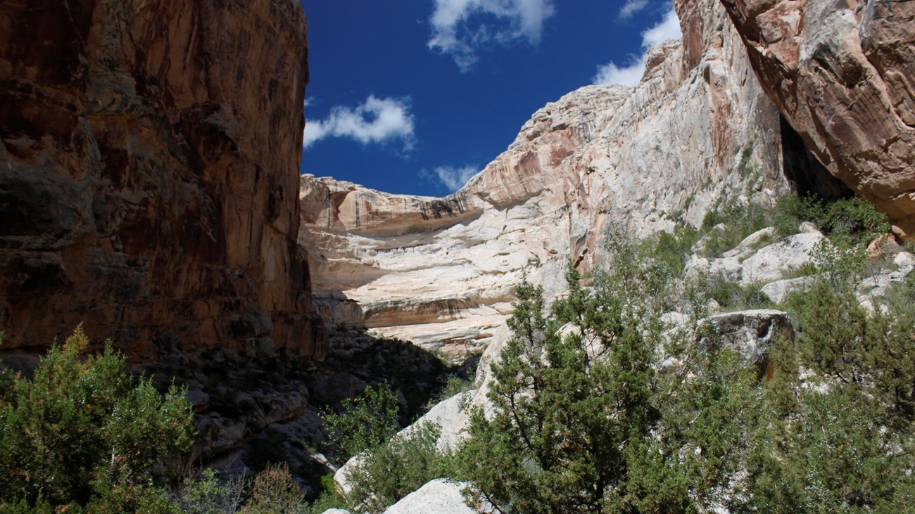 Large cliffs of white rock rise above green shrubs to a blue sky.