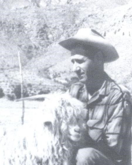 Cowboy kneeling with a stock animal