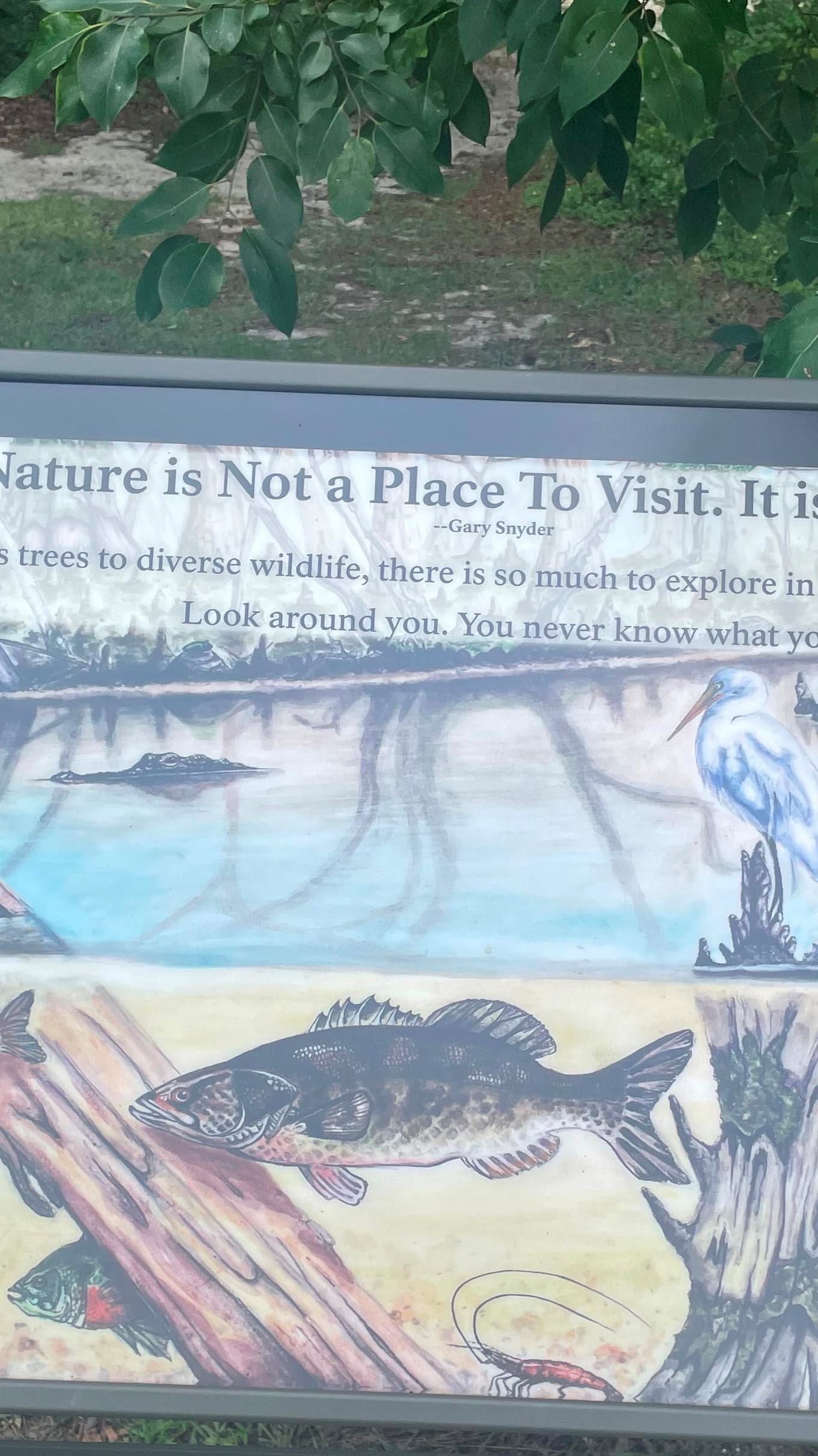 36 x 24 sign with a variety of a wildlife on it 