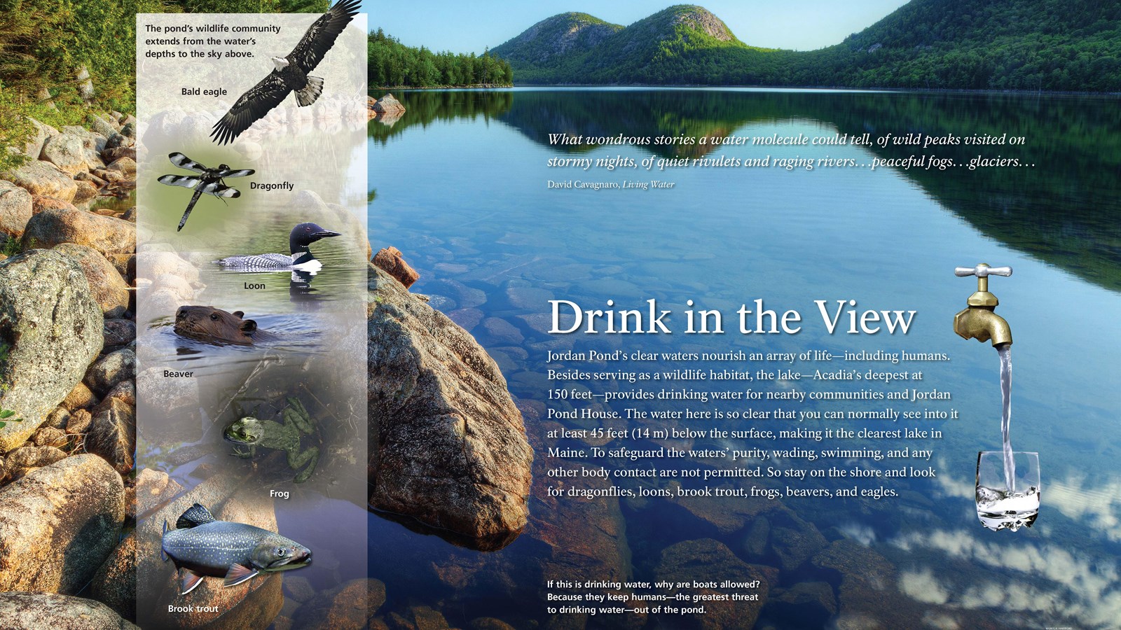 Drink in the View in bold; background of rocks seen through clear water of a pond with water tap.