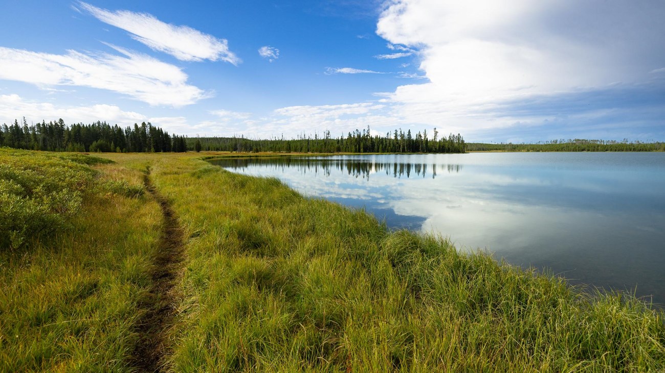 A trail runs through the grass alongside a lake.