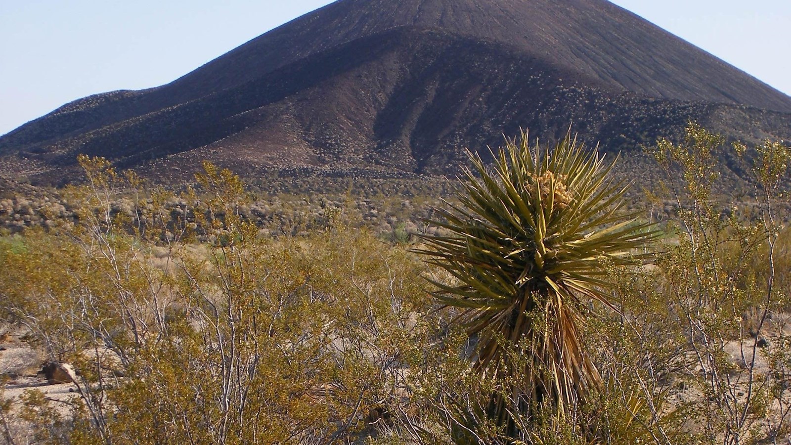 Color image of Mojave National Preserve