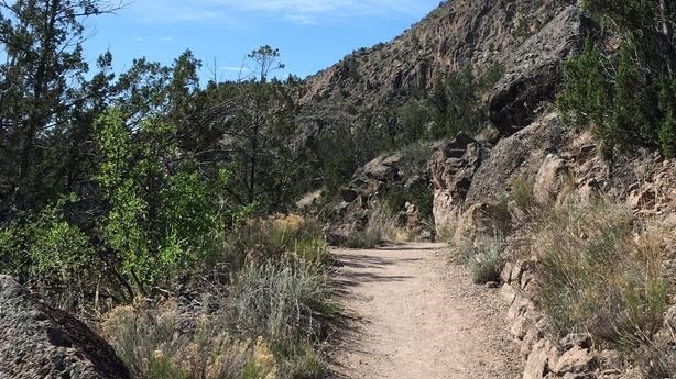 The Trail to Upper Falls