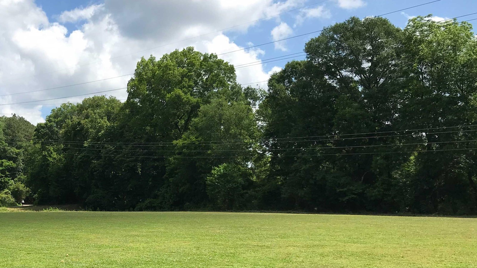 grassy field with woods in the background with a few clound in a blue sky.