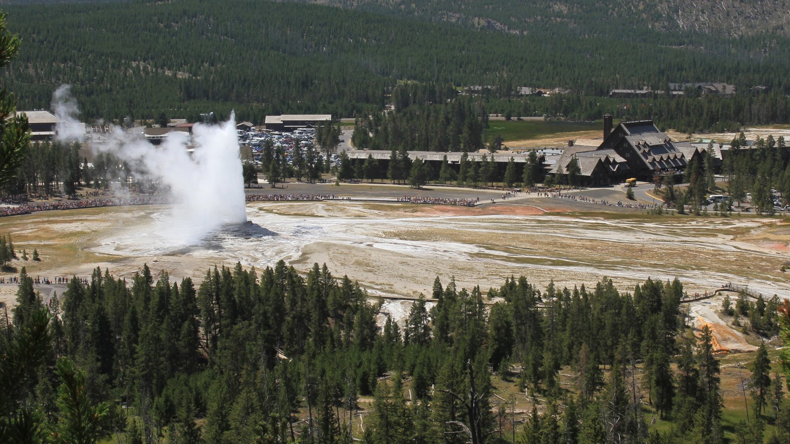 A geyser eruptions steam and water high into the area as people watch from boardwalks.