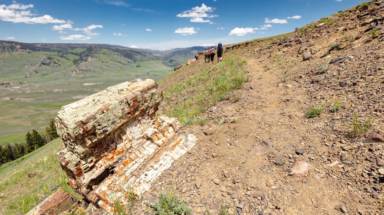 A trail travels past a piece of petrified wood on a ridgeline.