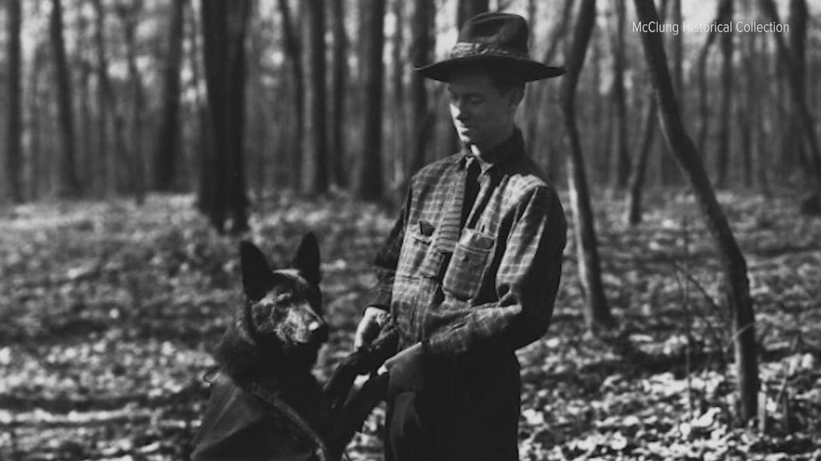 Smoky Jack, a shepherd, and his human Paul Adams.