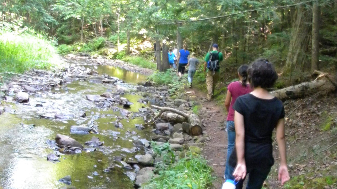 Hikers walk on a narrow dirt path next to a river with tall trees on the riverbank.
