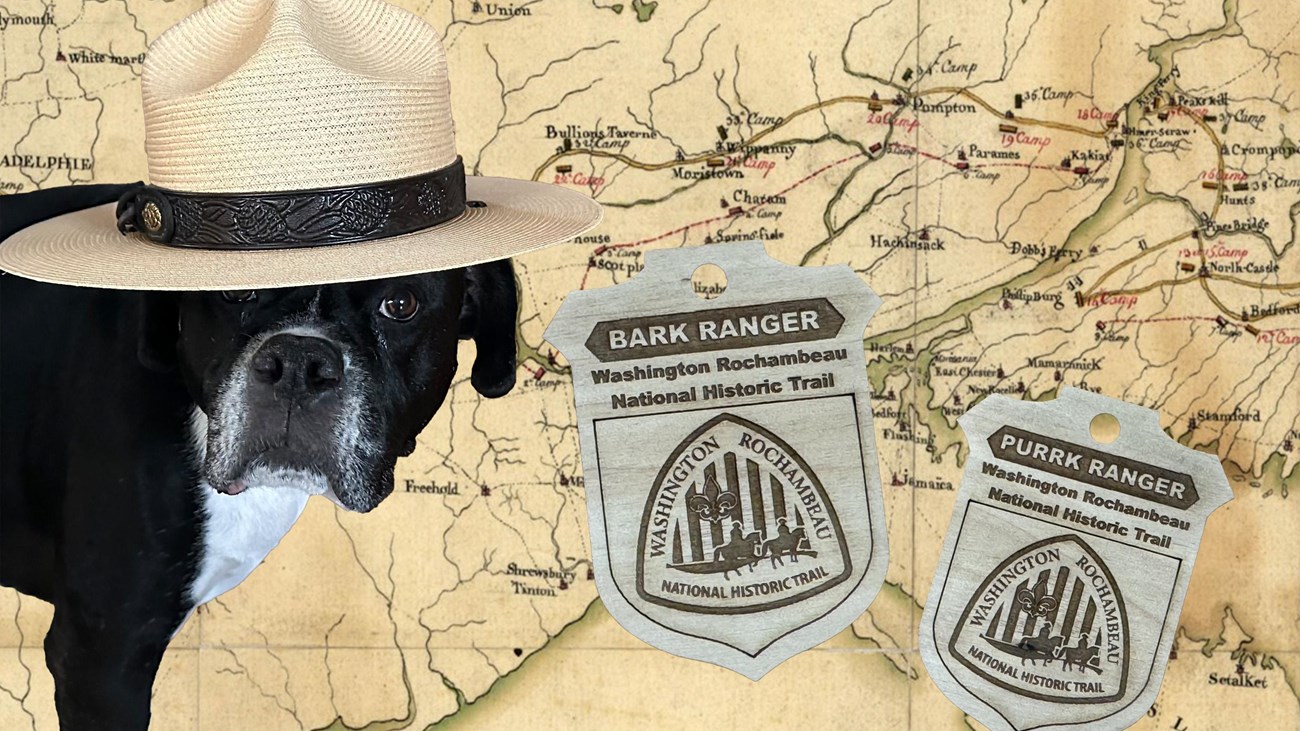 A dog wearing a ranger had in edited in front of historic trail map with a wooden badges. 