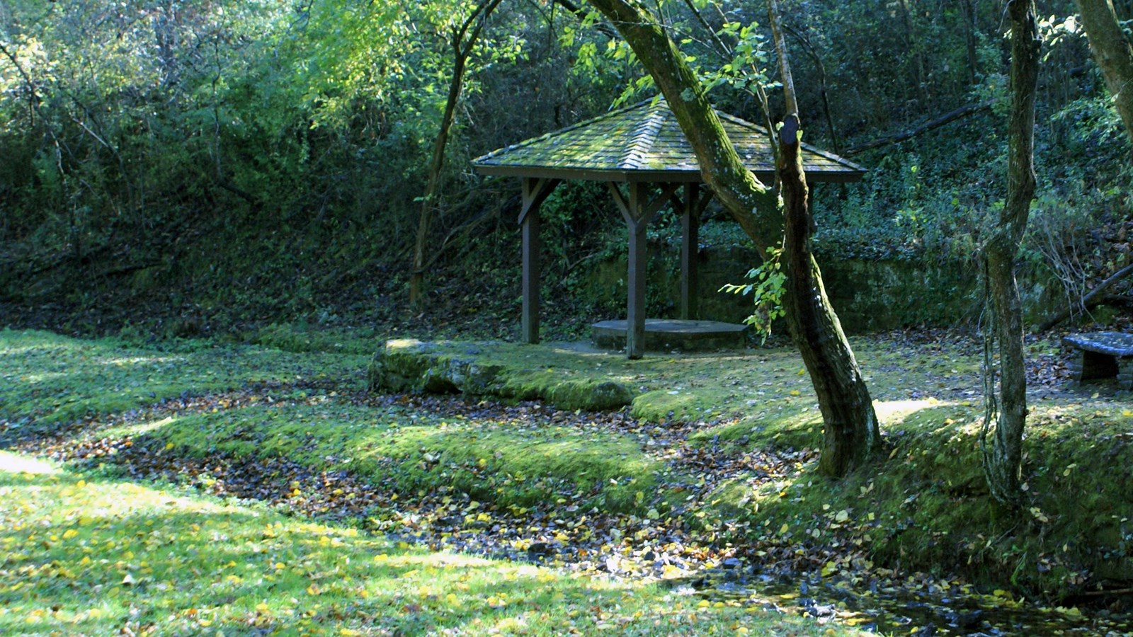 A green wooded area with a small spring and wooden gazebo 