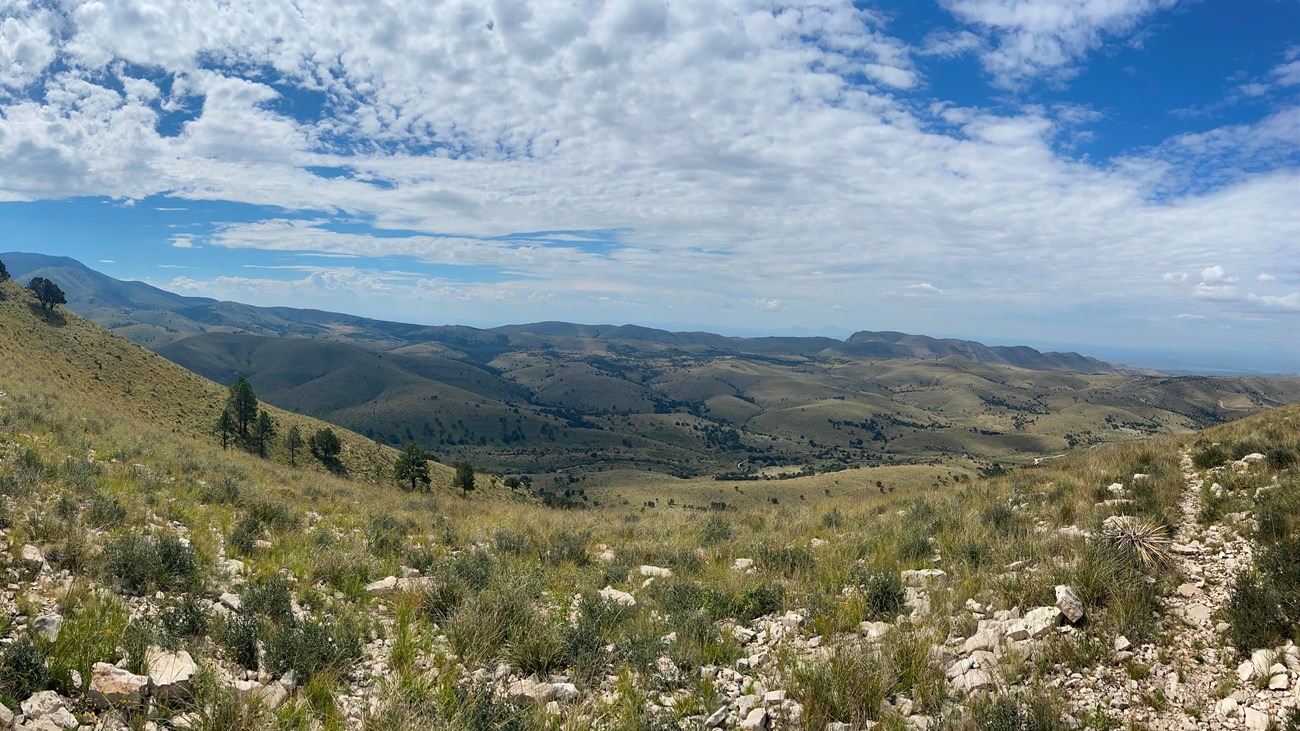 From a high point, a desert grasslands stretches into the distance with ridges in the background. 
