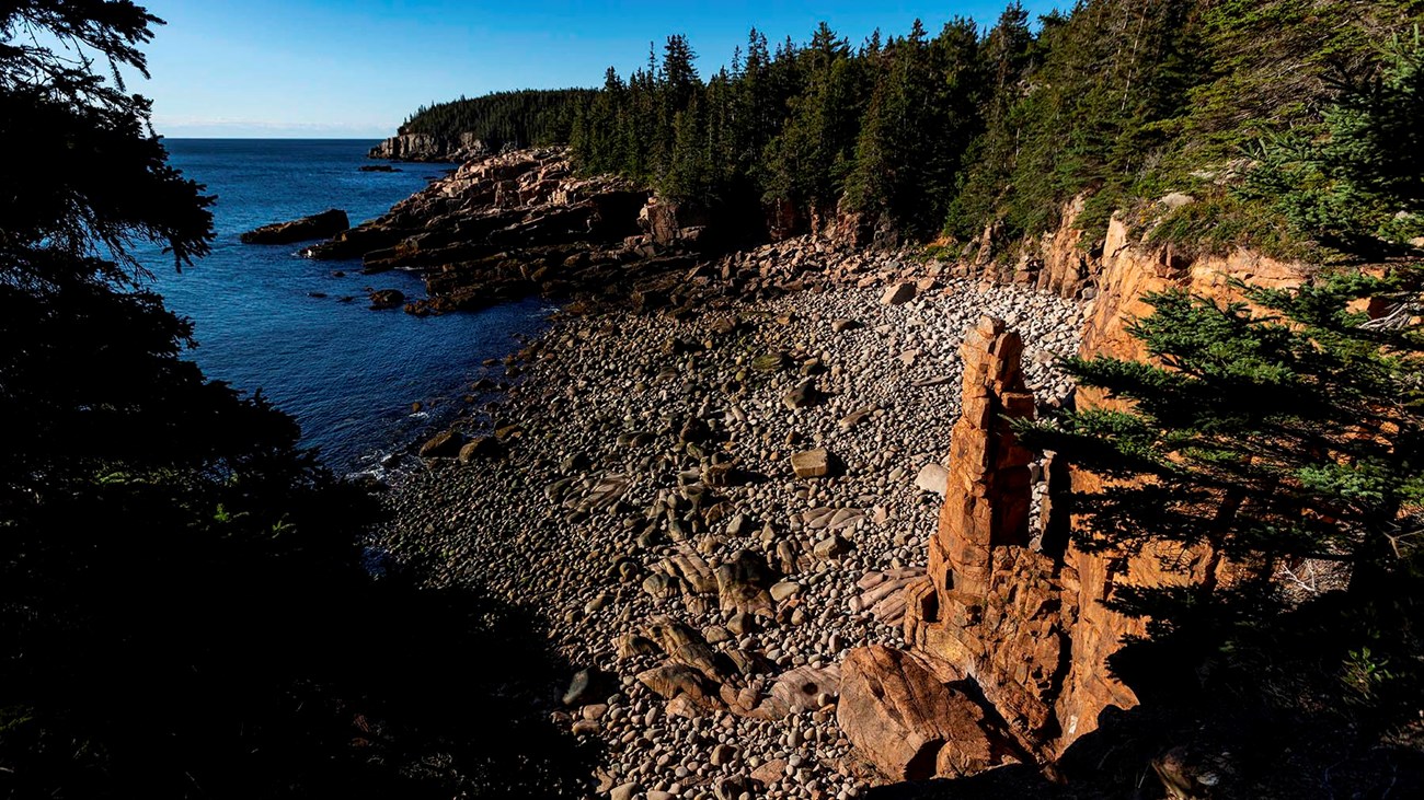 A rocky ocean seashore with trees and cliffs in the background.