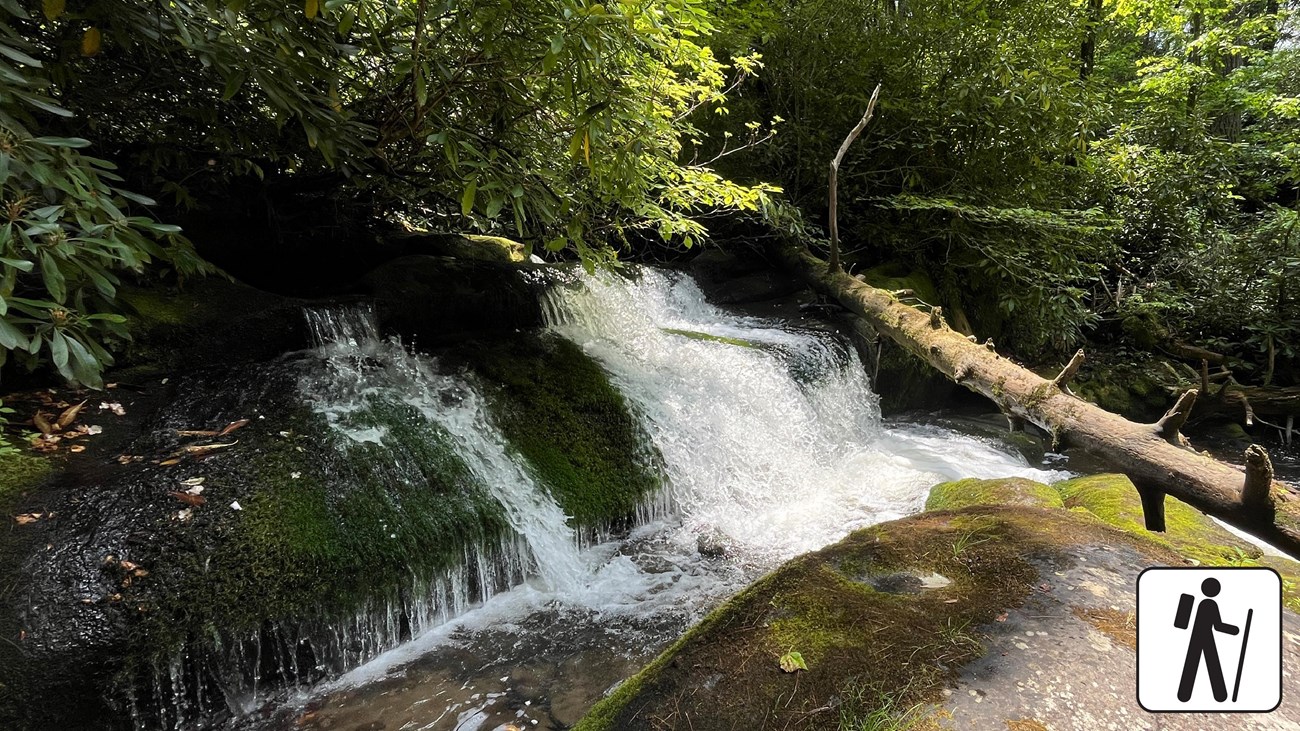 A stout waterfall cascading into a pool near a large boulder. A fallen tree in right frame.