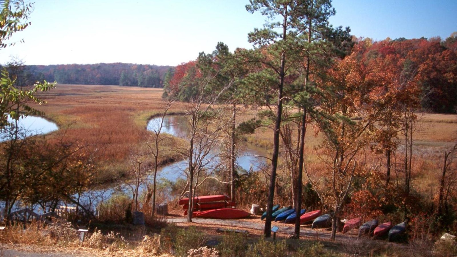 A landscape with marshes and rows of canoes in the foreground. 