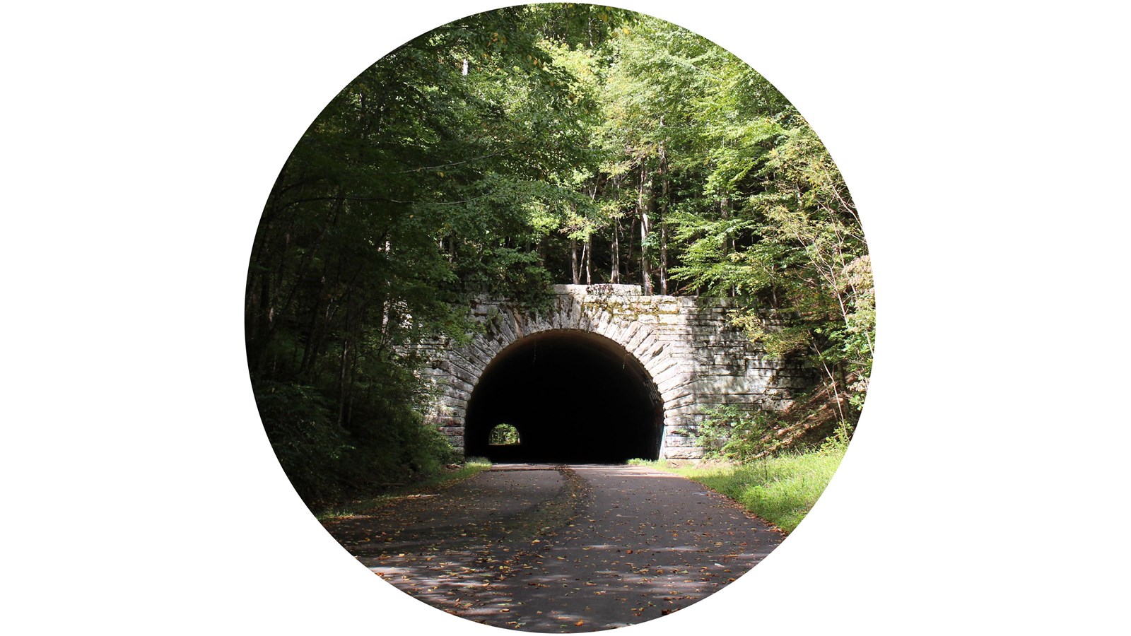 A stone tunnel surrounded by trees with a paved path going through it.