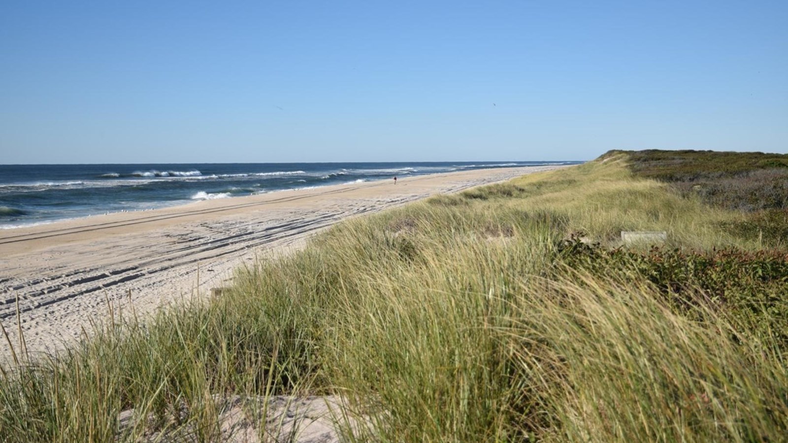 A view of a calm and quiet ocean beach from the top of a dune line.