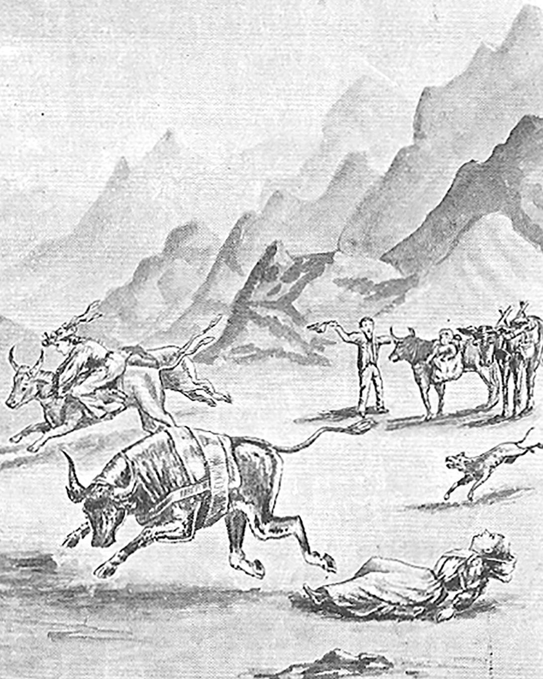 A black and white drawing of oxen bucking women with mountain landscape in the background.