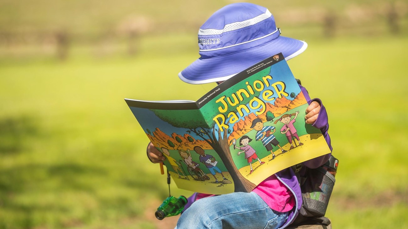 A child looking at a Junior Ranger booklet