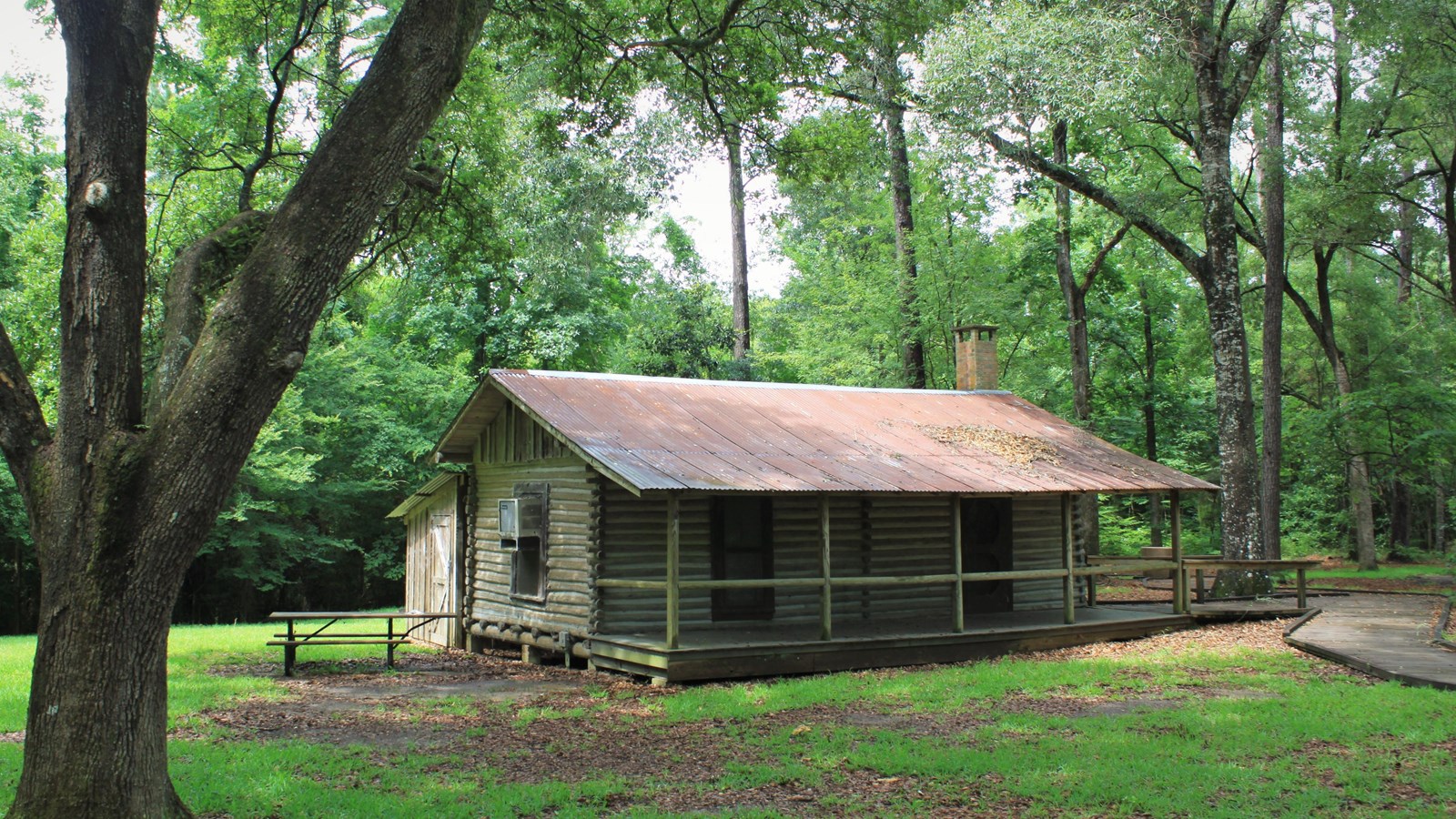 wooden cabin shaded beneath large sprawling oak trees and picnic table nearby