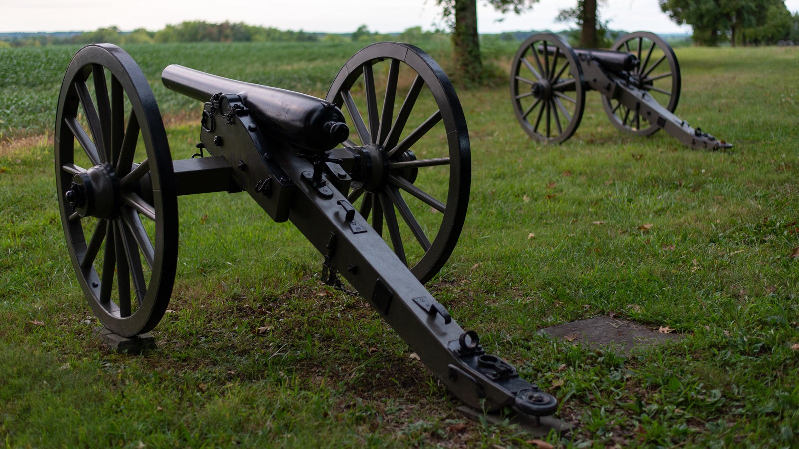 A row of cannons along a tour road
