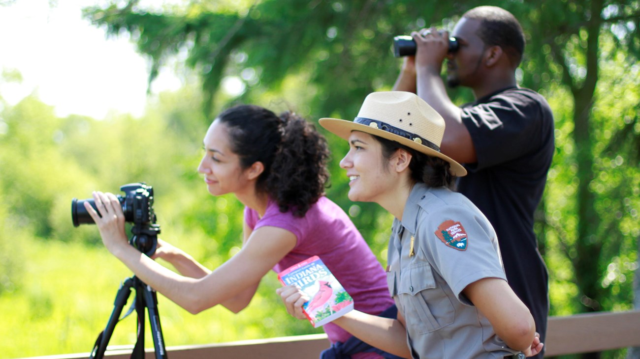 Bird Watching at the Great Marsh 