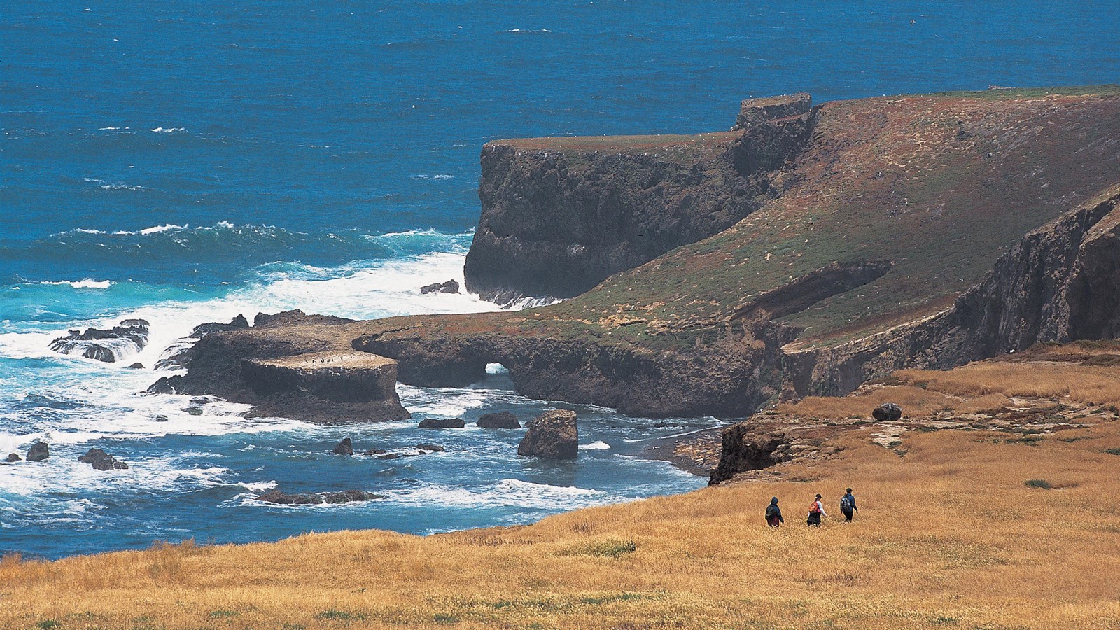 Hikers along ocean bluff with rugged coast. 