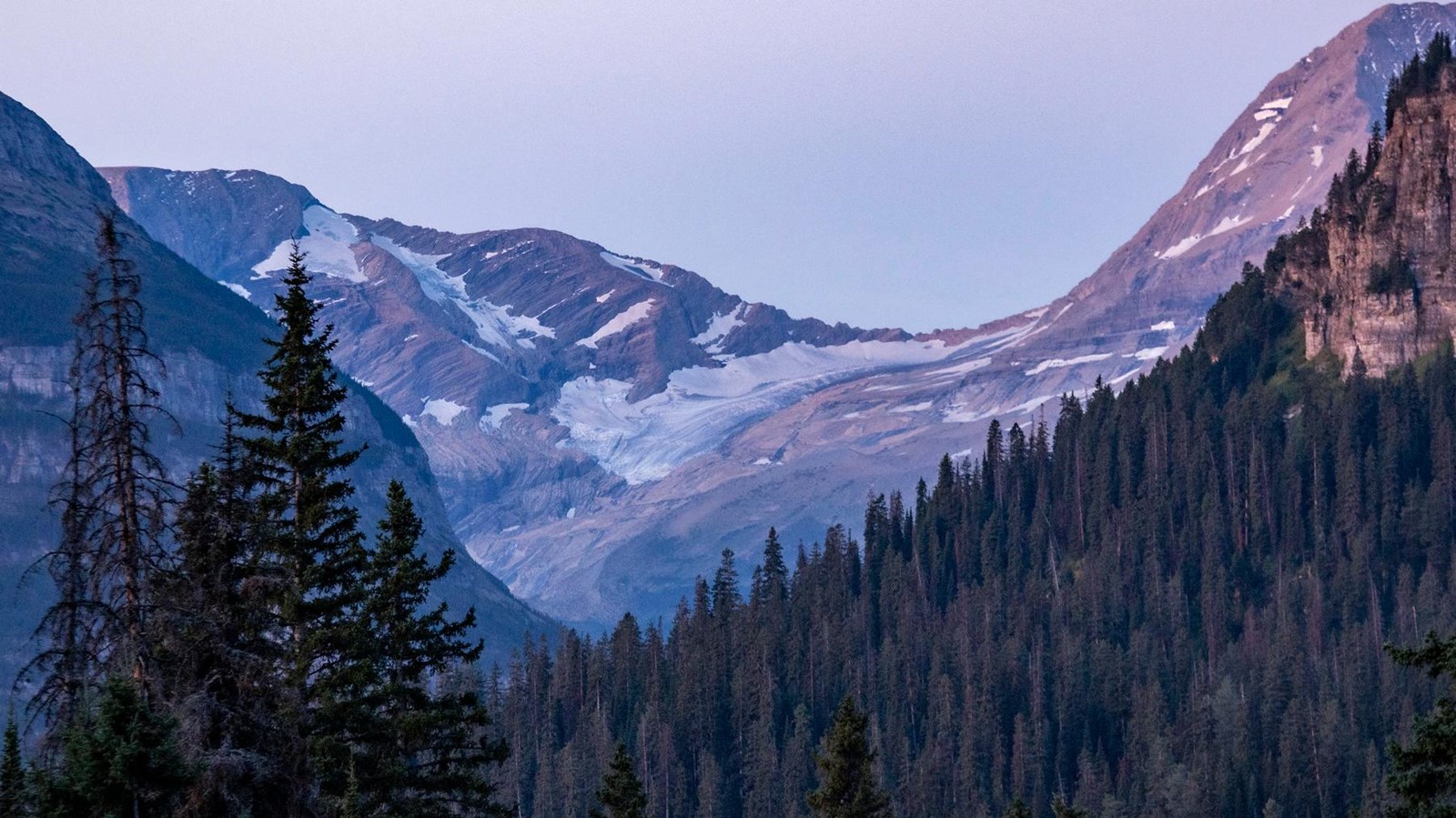A mountain glacier in between two rounded peaks seen above coniferous trees.