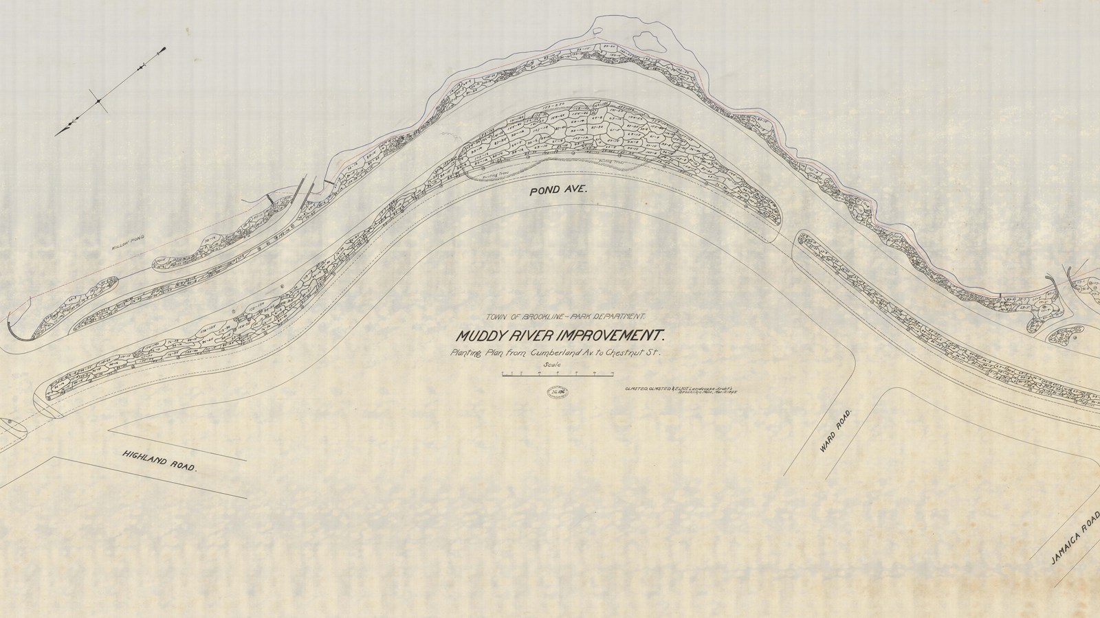 Pencil planting plan of curving road with many circles with two numbers in them representing plants