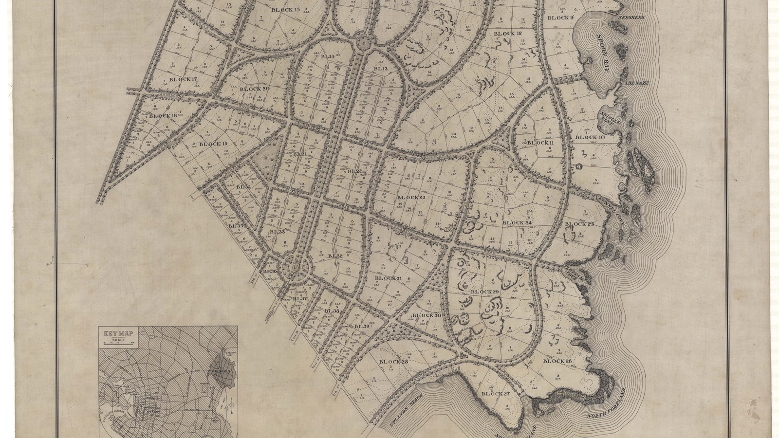 Plan of community by water with curving tree lined roads and lots in the middle of roads