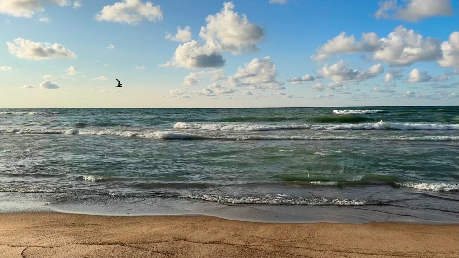 Beach scene on Lake Michigan. White caps roll into shore beneath a blue sky with white clouds.