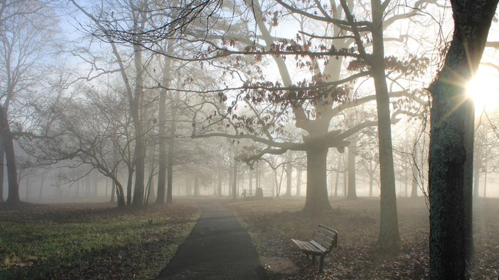 The sun rises on a gravel road surrounded by trees.